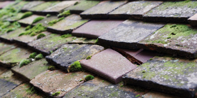 Capel Iwan roof repair costs
